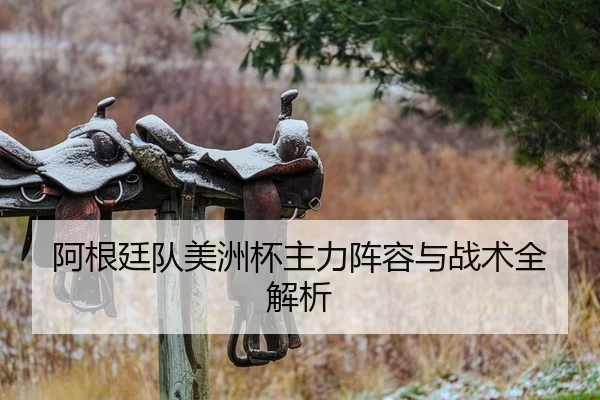 阿根廷队美洲杯主力阵容与战术全解析