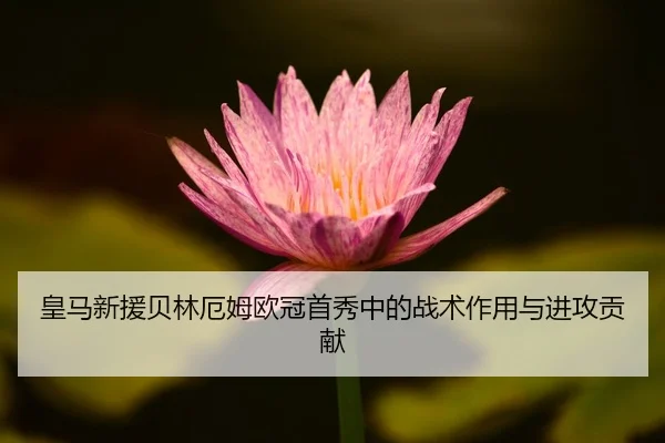 皇马新援贝林厄姆欧冠首秀中的战术作用与进攻贡献